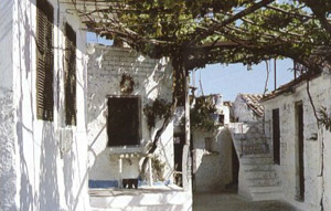 White washed houses in Agios Leon