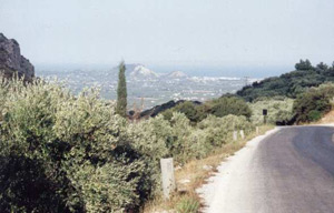 Zakynthian road