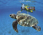 Zakynthos - paradise for divers